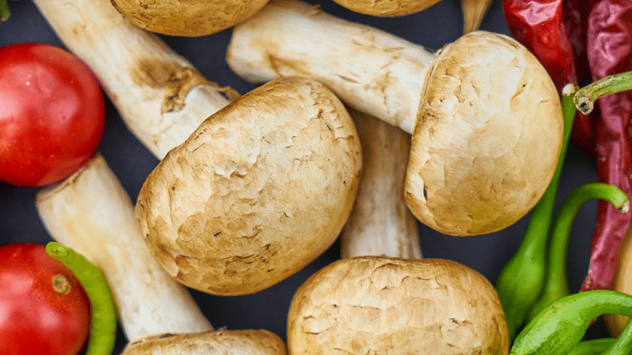 5 simple things you can grow in your garden - Rathwood Store