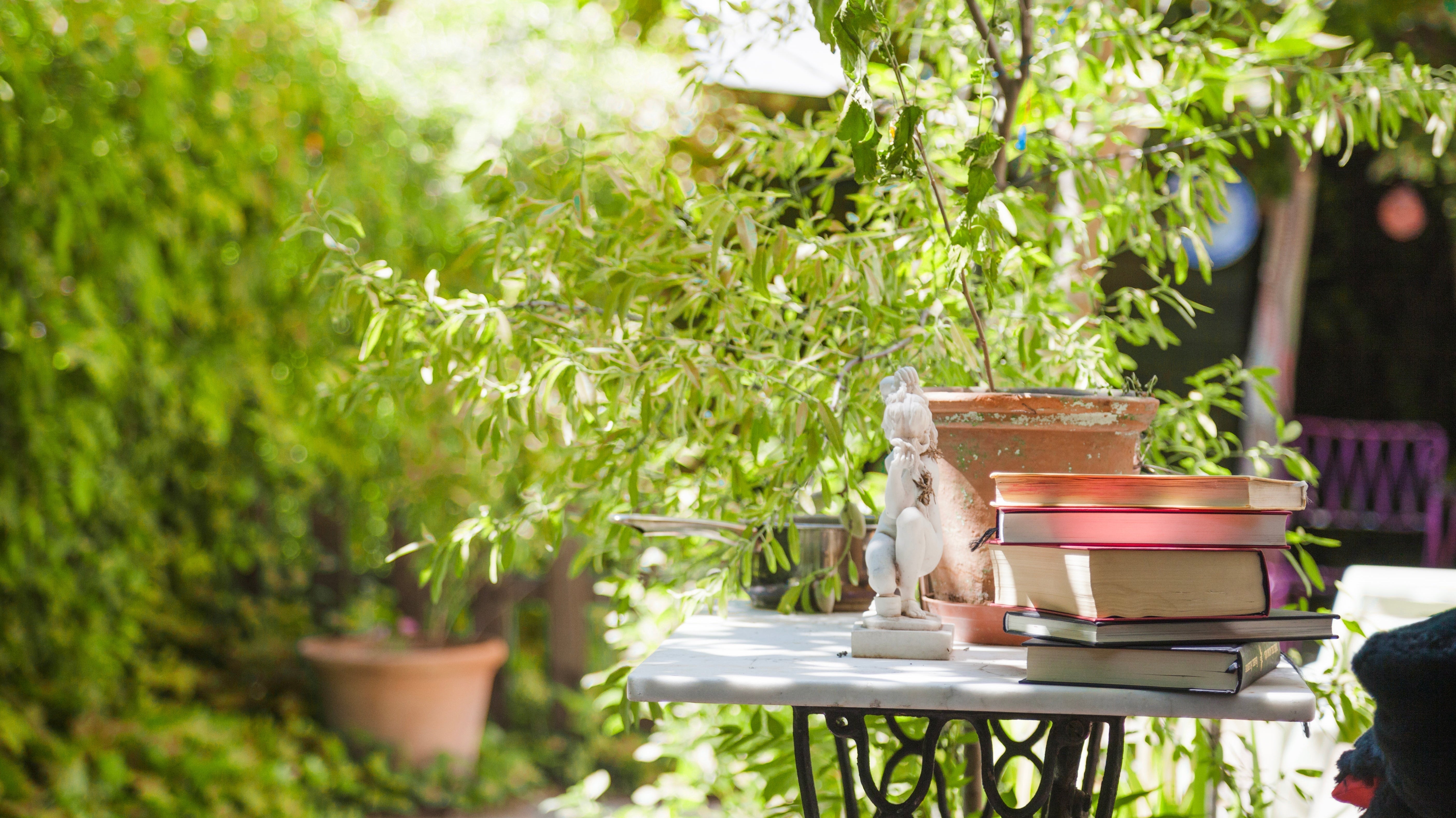 All-New Olympus & Cappani Ranges - Rathwood Store