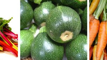 Explosion of Colour! - Rathwood Store