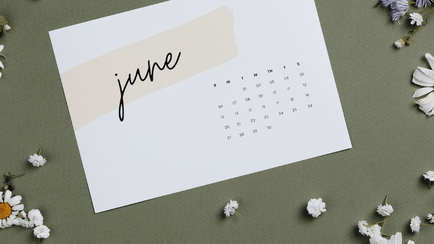 Gardening activities to do in the month of June - Rathwood Store