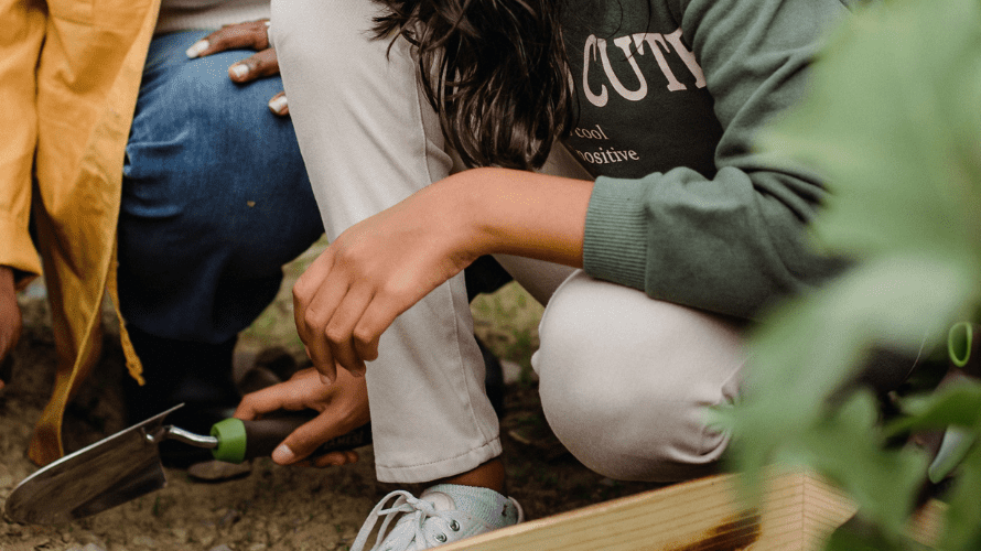 Gardening tools you need for the perfect garden - Rathwood Store