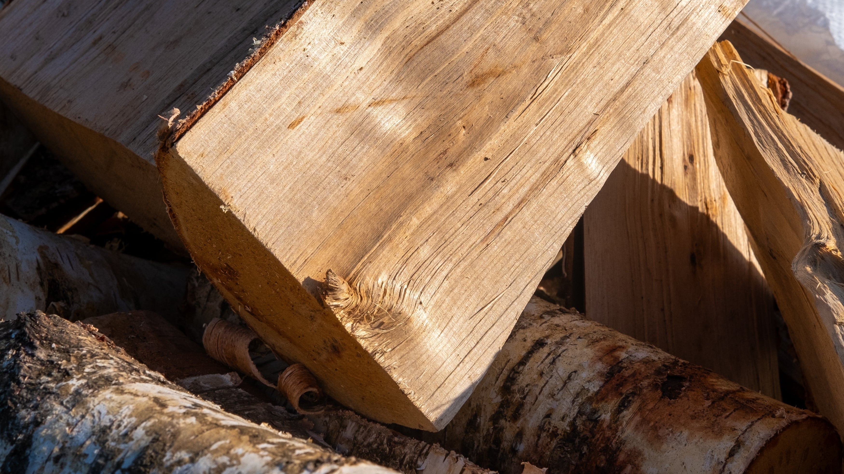 Key differences Between Oak Firewood and Birch Firewood - Rathwood Store