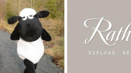 Little Bo Peep review - Rathwood Store