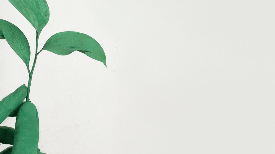 Our Sustainability Commitment - Rathwood Store