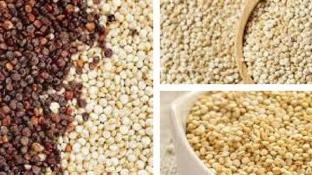 Quinoa - Cooking perfect Quinoa every time - Rathwood Store