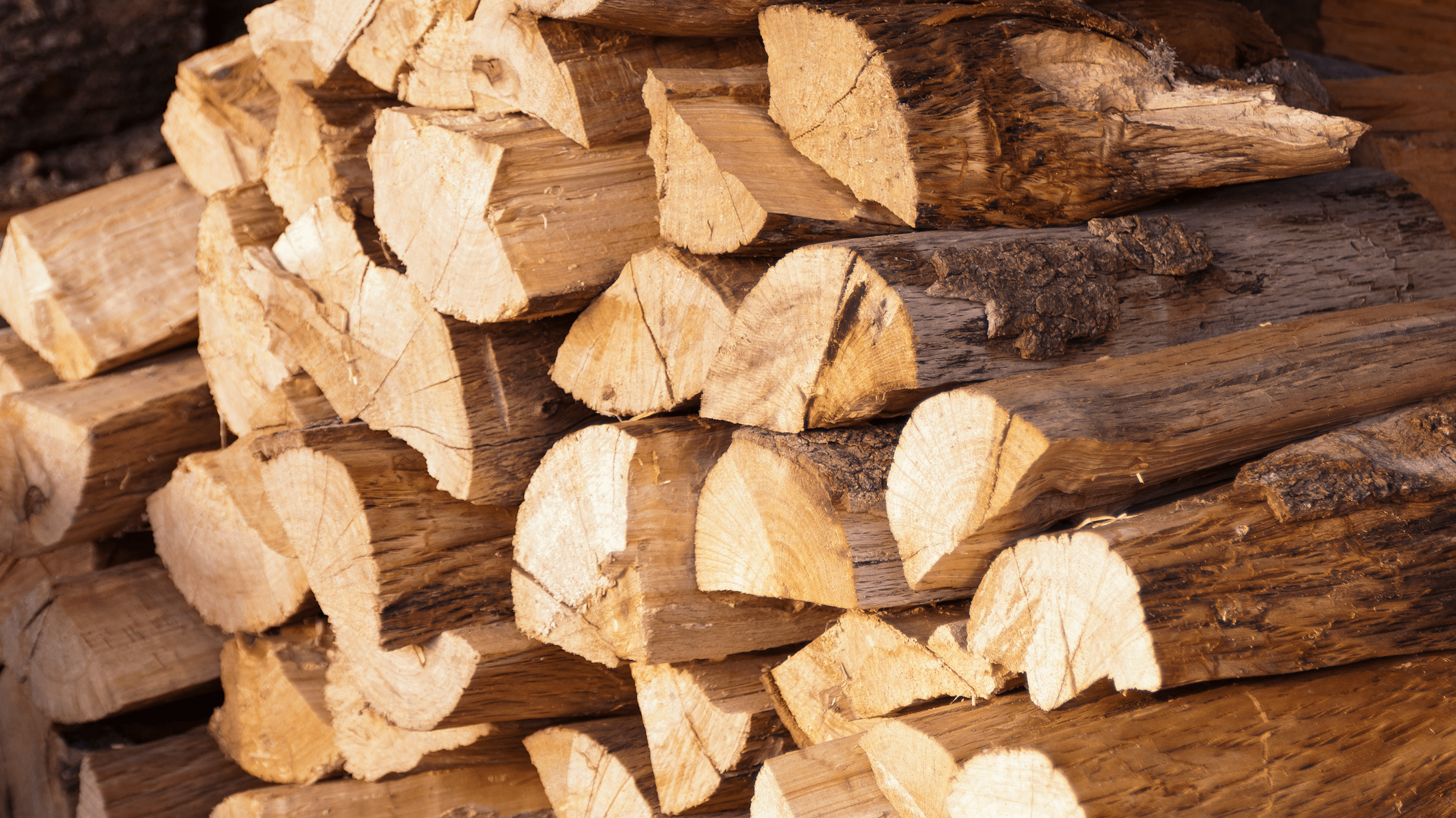 Storing Kiln-Dried Firewood for Maximum Longevity - Rathwood Store