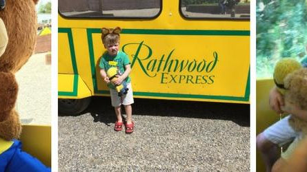 Teddy Bear train - Rathwood Store