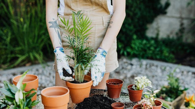 This mother’s Day spend quality time in the garden with your mum , embrace the tranquillity of the outdoors. - Rathwood Store