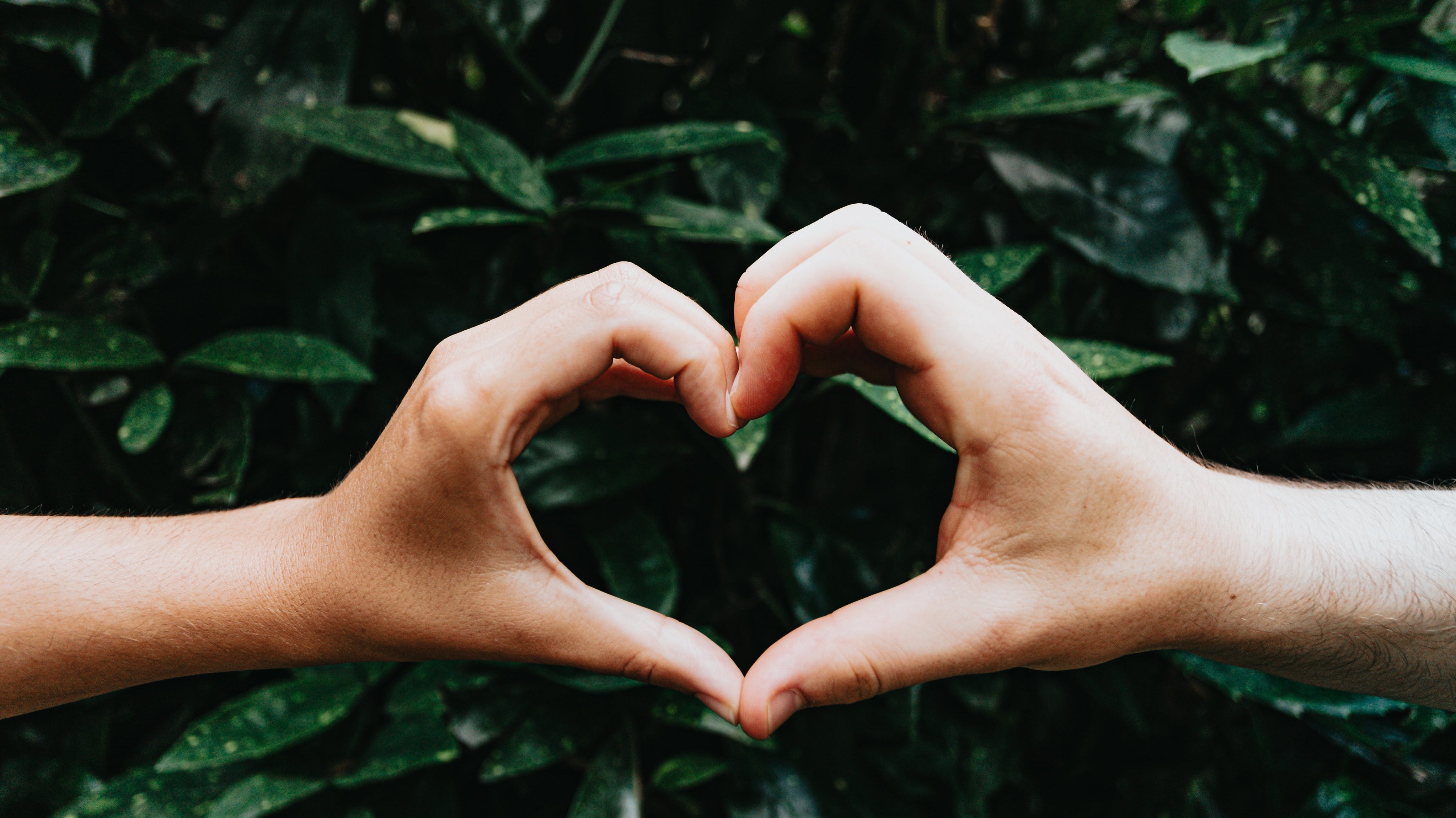 Valentine's day with Rathwood - Rathwood Store