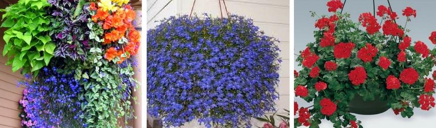 Can you feel it? Spring is in the Air! - Rathwood Store