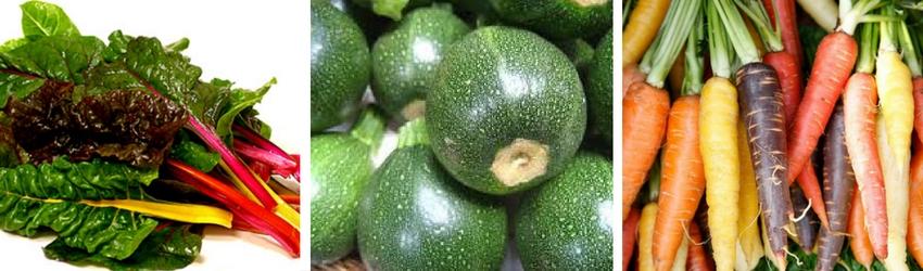 Explosion of Colour! - Rathwood Store