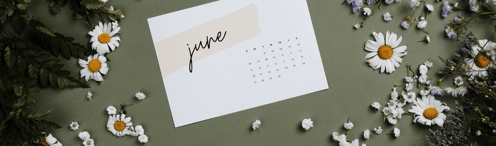 Gardening activities to do in the month of June - Rathwood Store