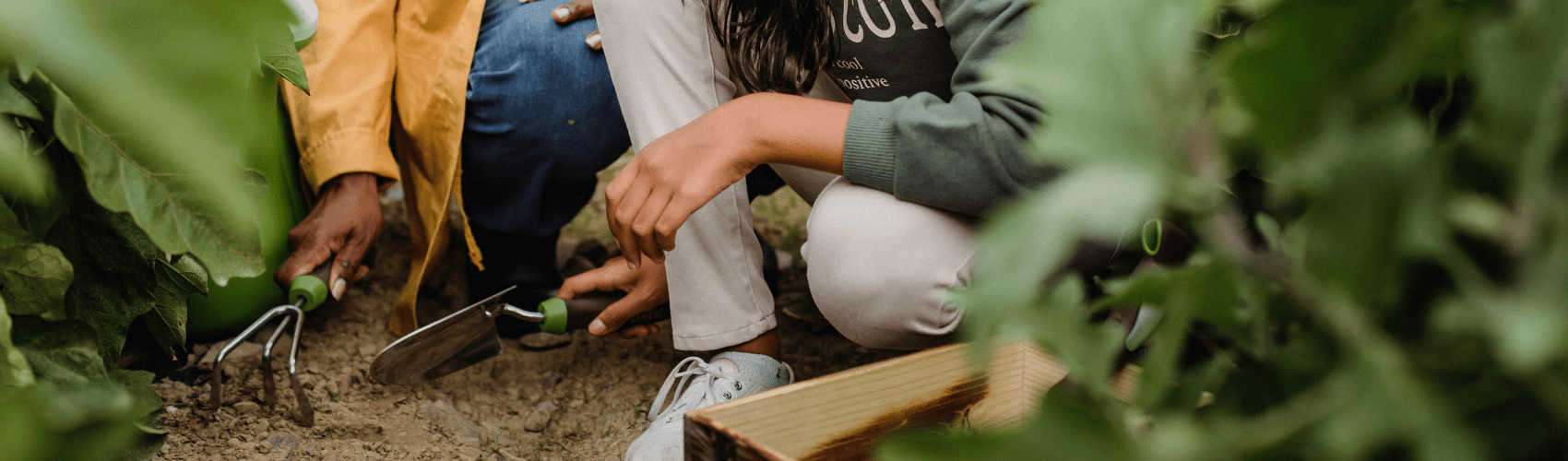 Gardening fun for kids - Rathwood Store