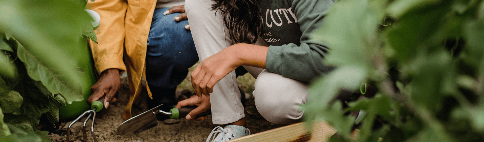 Gardening tools you need for the perfect garden - Rathwood Store