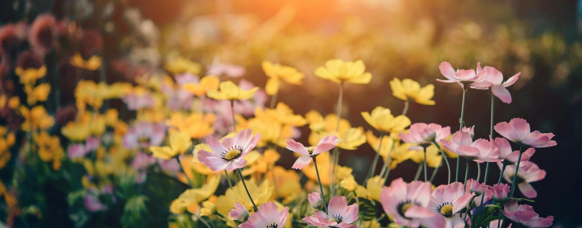 Havana Garden Furniture  Range - Rathwood Store