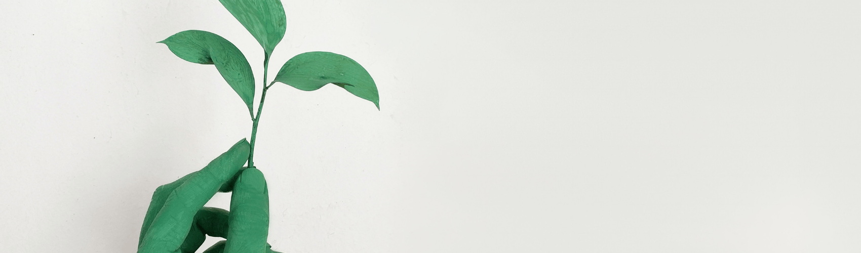 Our Sustainability Commitment - Rathwood Store