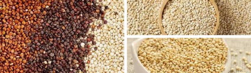 Quinoa - Cooking perfect Quinoa every time - Rathwood Store