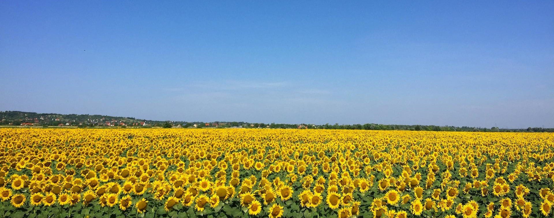 Sepino Range - Rathwood Store