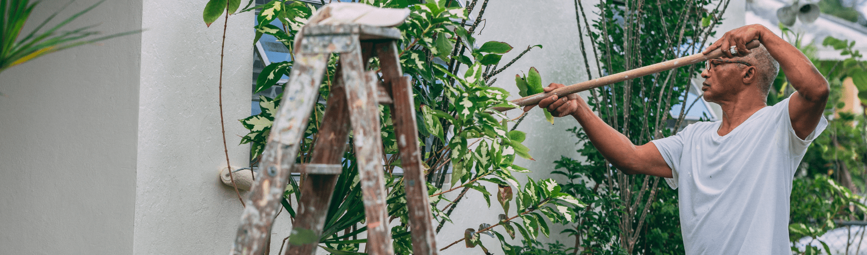 Simple Garden Ideas that can transform your garden - Rathwood Store