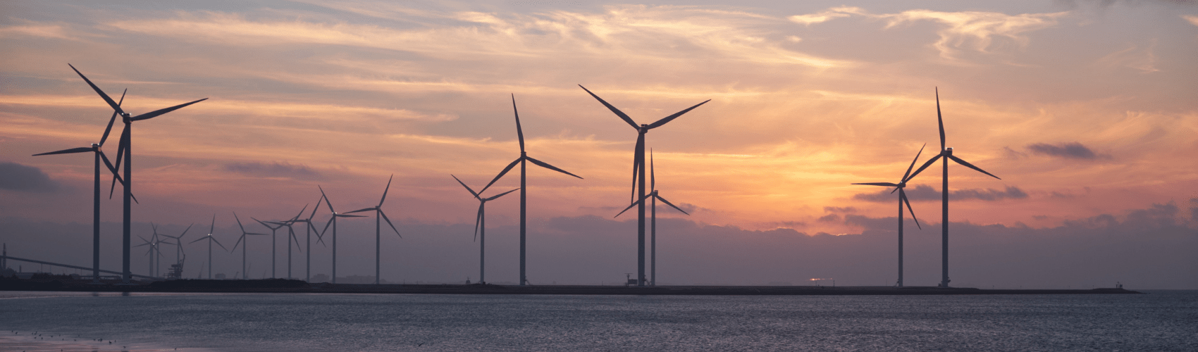 Sustainable gardening – ideas for an eco friendly space - Rathwood Store