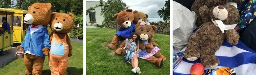 Teddy Bear Train - Review and Video - Rathwood Store