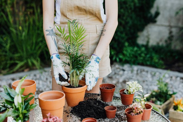 This mother’s Day spend quality time in the garden with your mum , embrace the tranquillity of the outdoors. - Rathwood Store