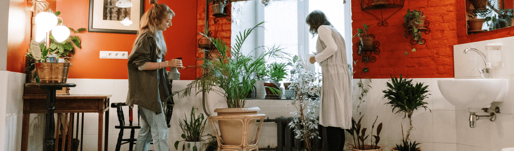 Urban Gardening - Rathwood Store