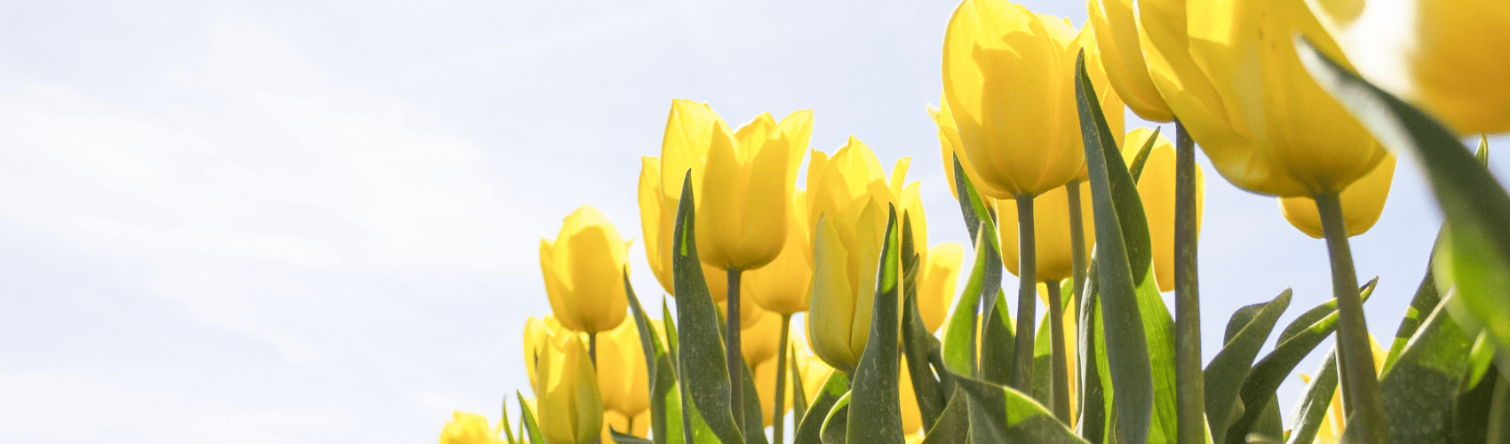 Ways to welcome warmer weather - Rathwood Store