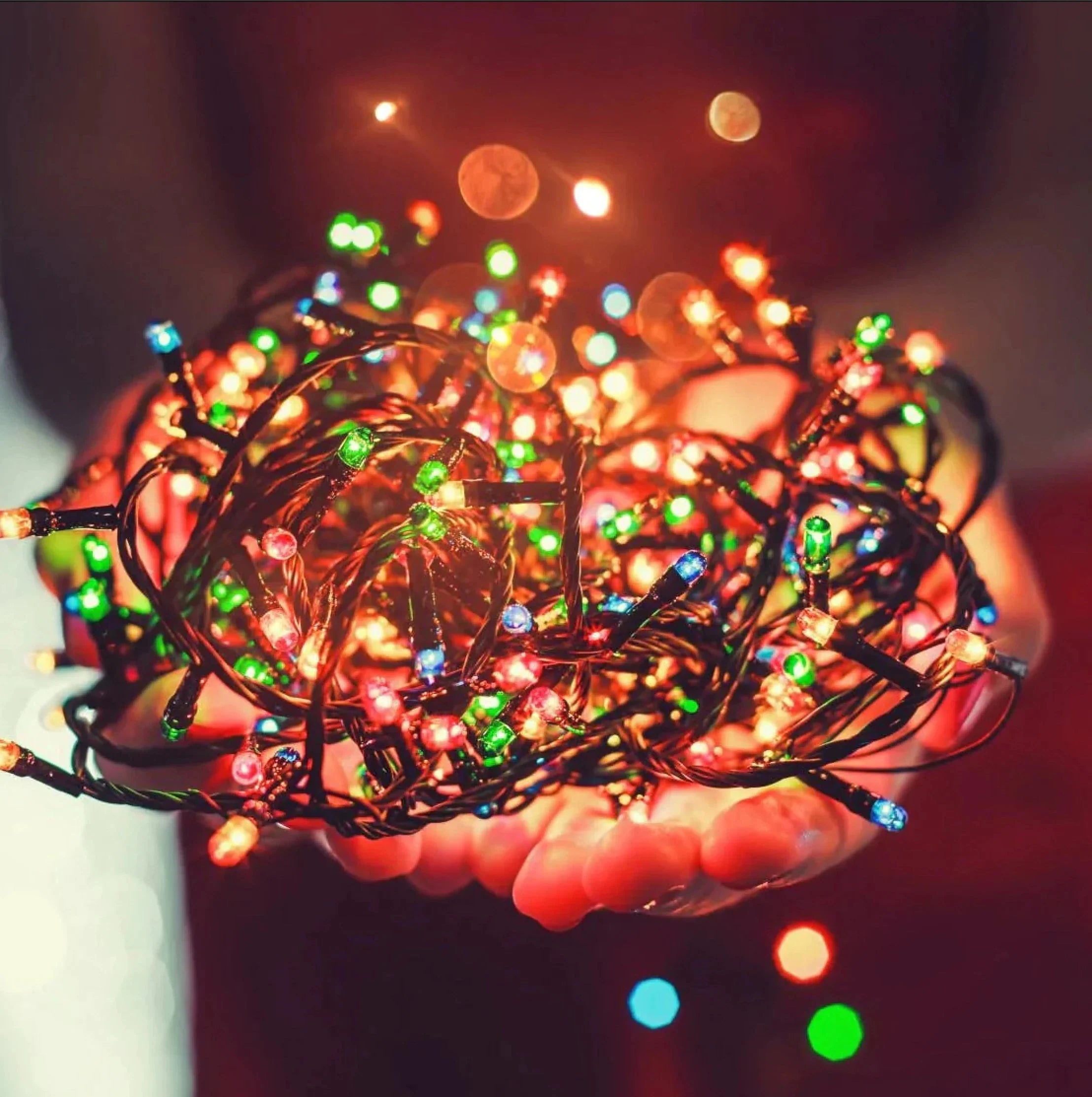 Christmas Lights - Rathwood Store
